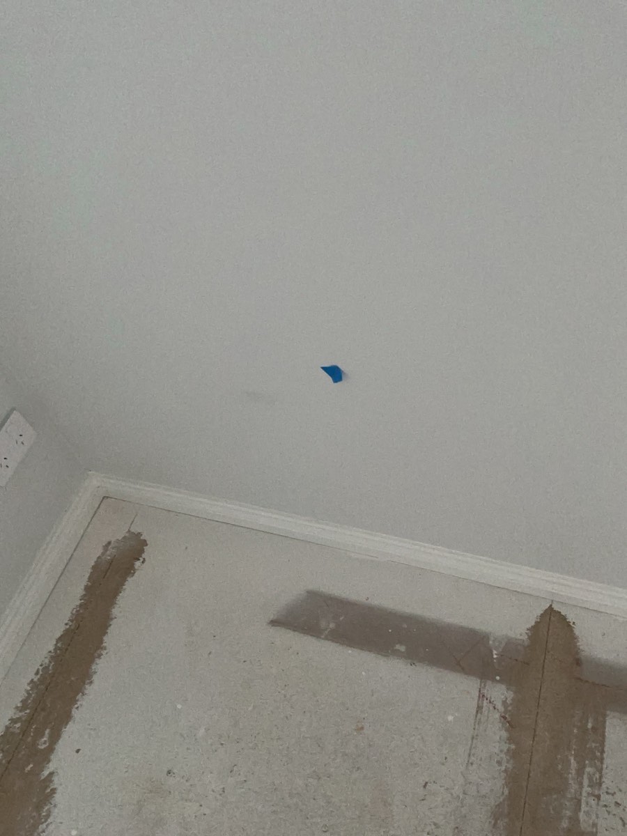 Ground floor painting, Oran Park, Catherine Field